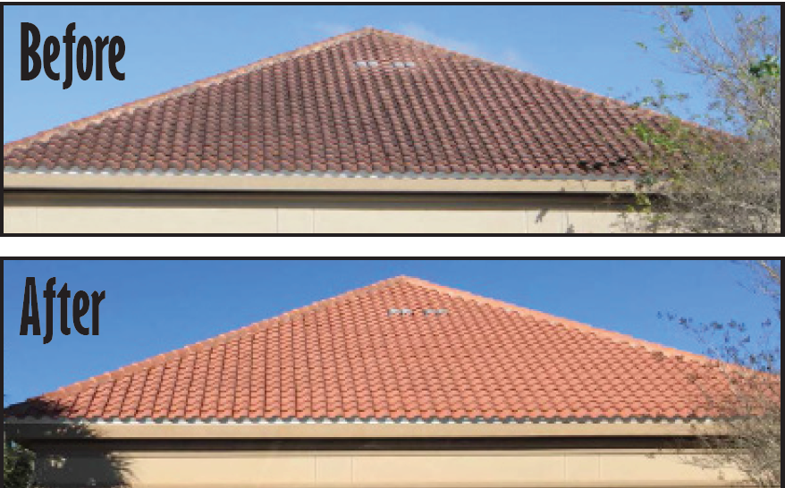Clay tile low-pressure roof cleaning saint johns's, Florida