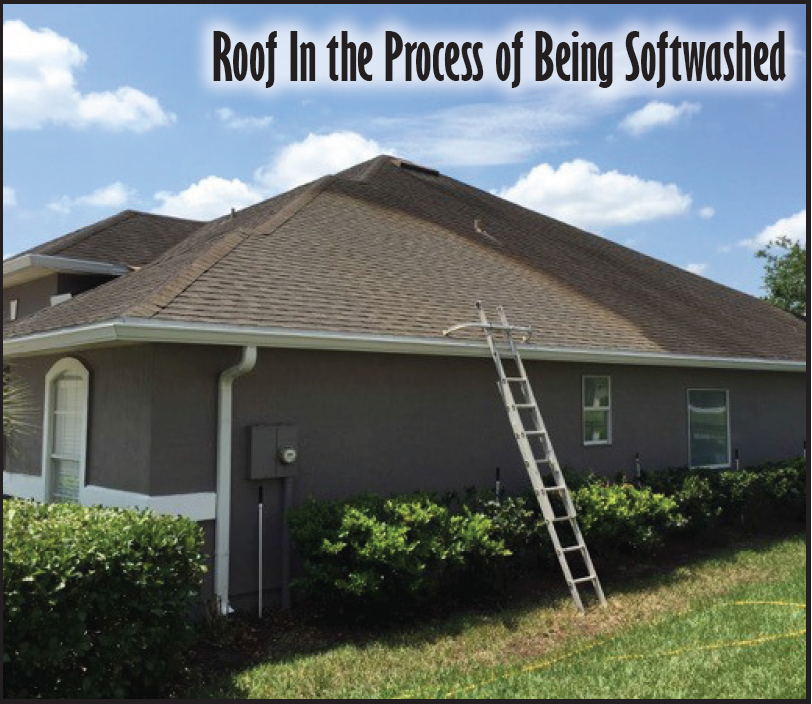 Image showing Roof cleaning service in process