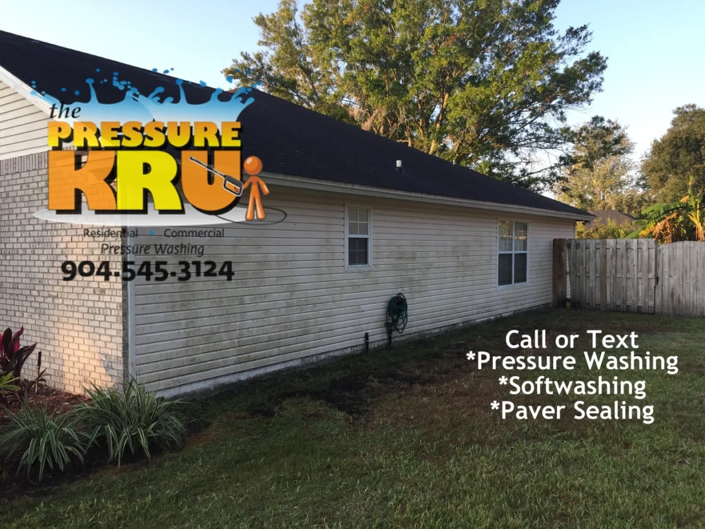 Vinyl Siding House washing st Johns fl Before cleaning