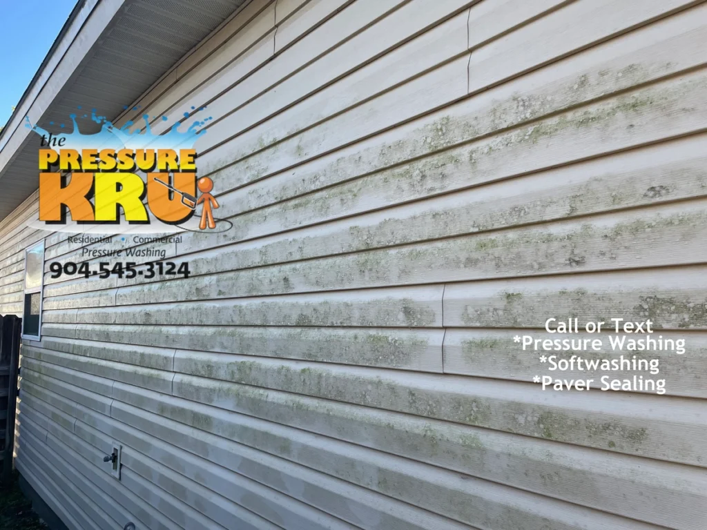 Image showing Vinyl Siding Service Before cleaning