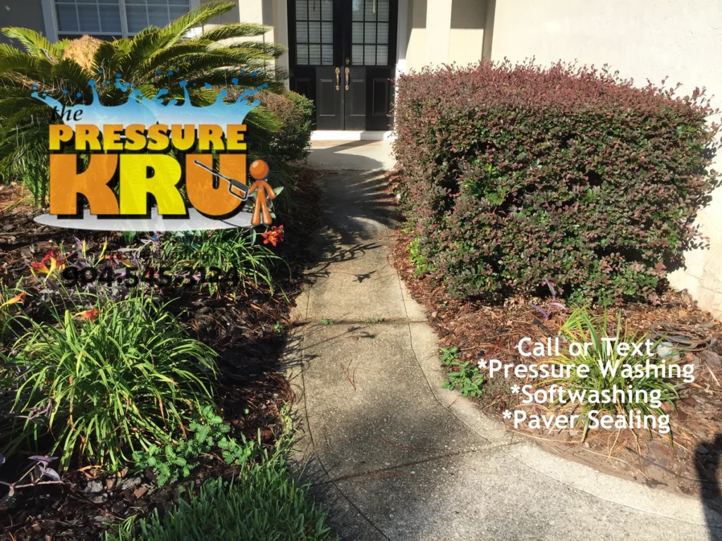 Cut back overgrown shrubs adjacent to concrete in St. Johns, FL.