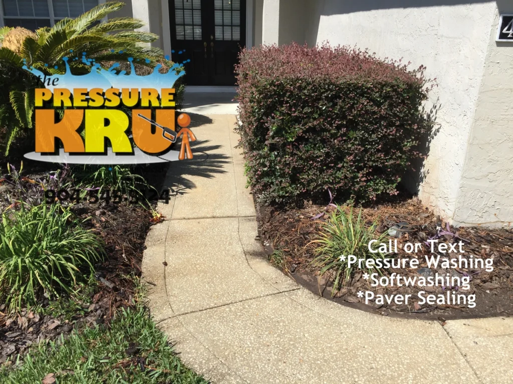 Cut back overgrown shrubs adjacent to concrete in St. Johns, FL