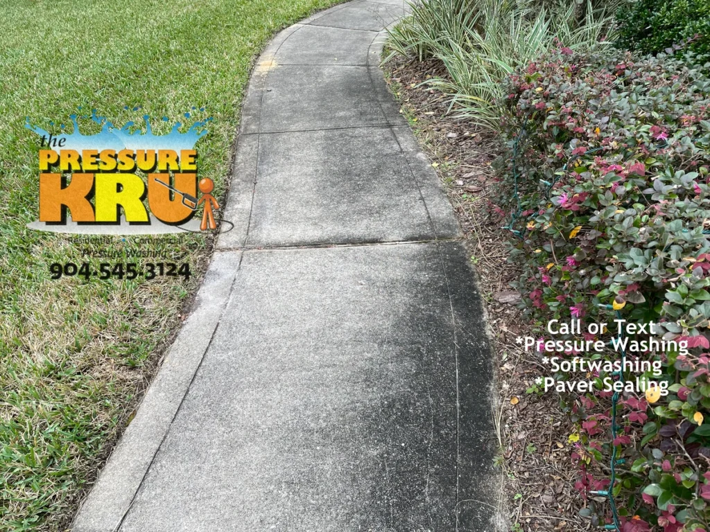 Elevated Planter Beds Create perfect habitat for dirty Concrete in St. Johns, FL