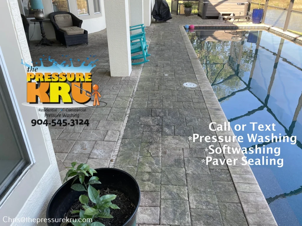 Pool Deck Cleaning Service Mold and Mildew Removal