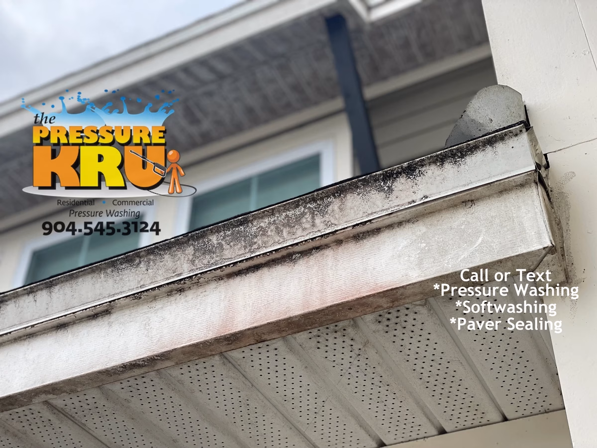 Professional house washing service removing algae from siding and vinyl soffits in Shearwater neighborhood.