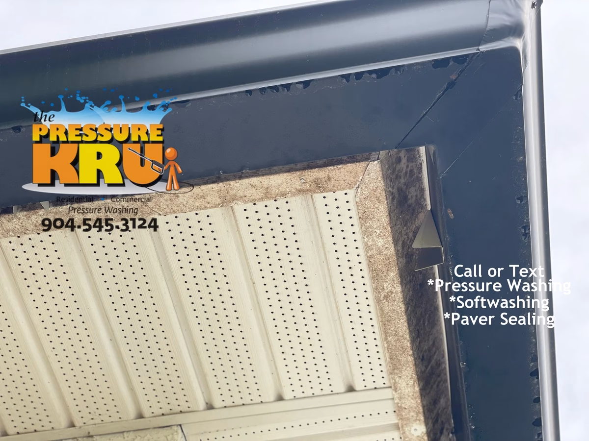 Professional house washing service removing algae from siding and vinyl soffits in Arbor Glade neighborhood Jacksonville, FL.