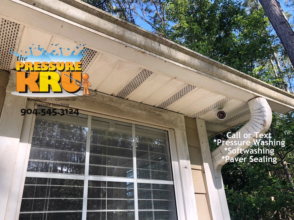 Professional house washing removes algae from siding and vinyl soffits in Cimarrone Golf Club neighborhood.