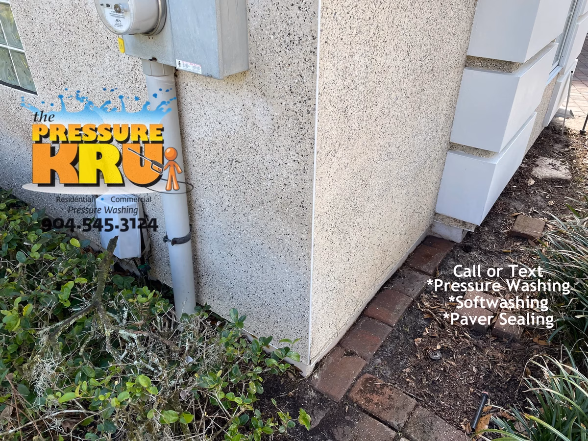 Professional coquina cleaning in Hibernia after protecting delicate exterior stone