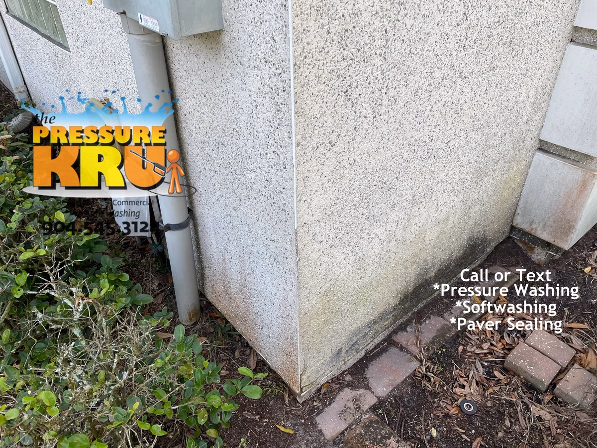 Professional coquina cleaning in Hibernia before protecting delicate exterior stone