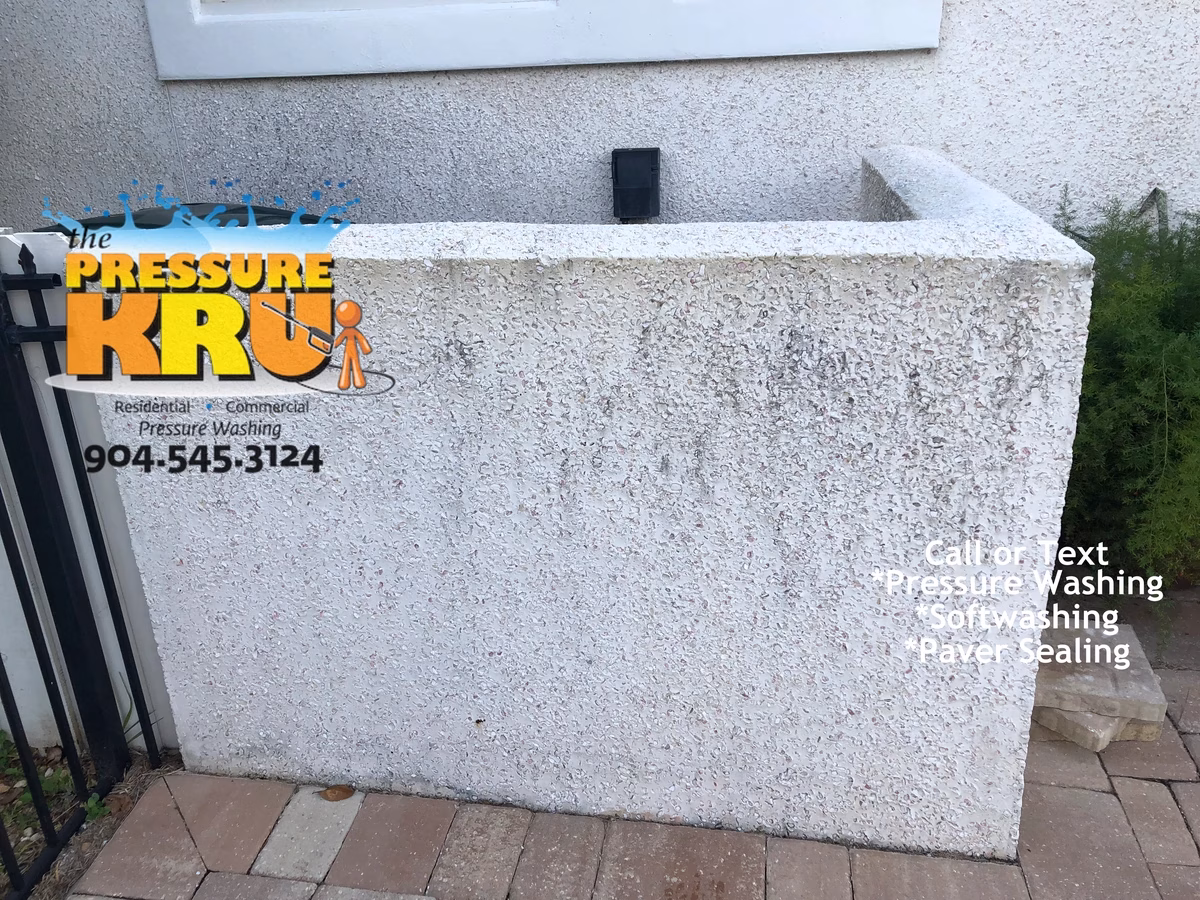 Exterior coquina soft washing in Fairway Village protecting stone from pressure damage. Before picture showing only 1 year of algae growth.