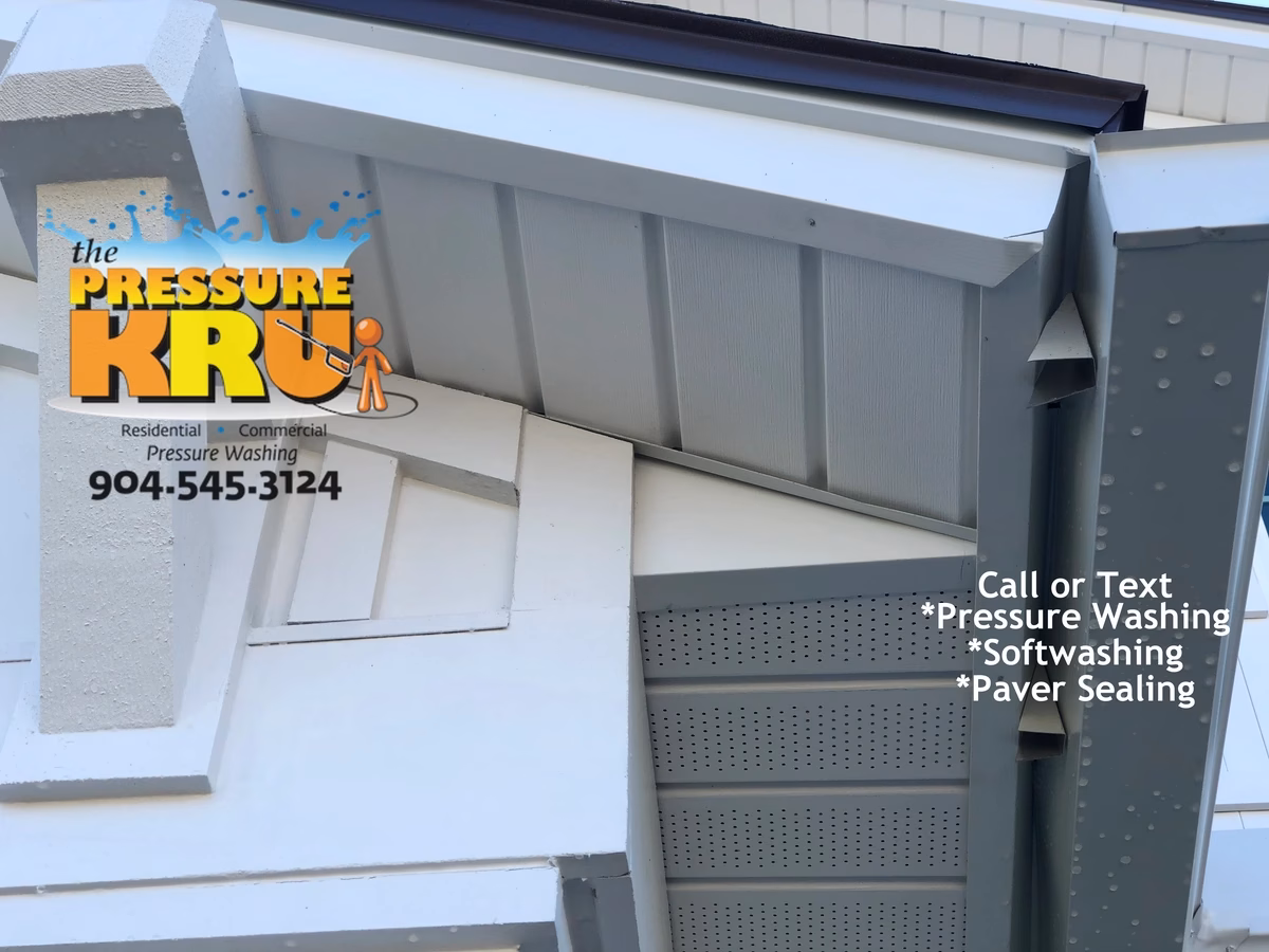 Soft washing home exterior in The Crossings at Bartram Park neighborhood safely removing mold.