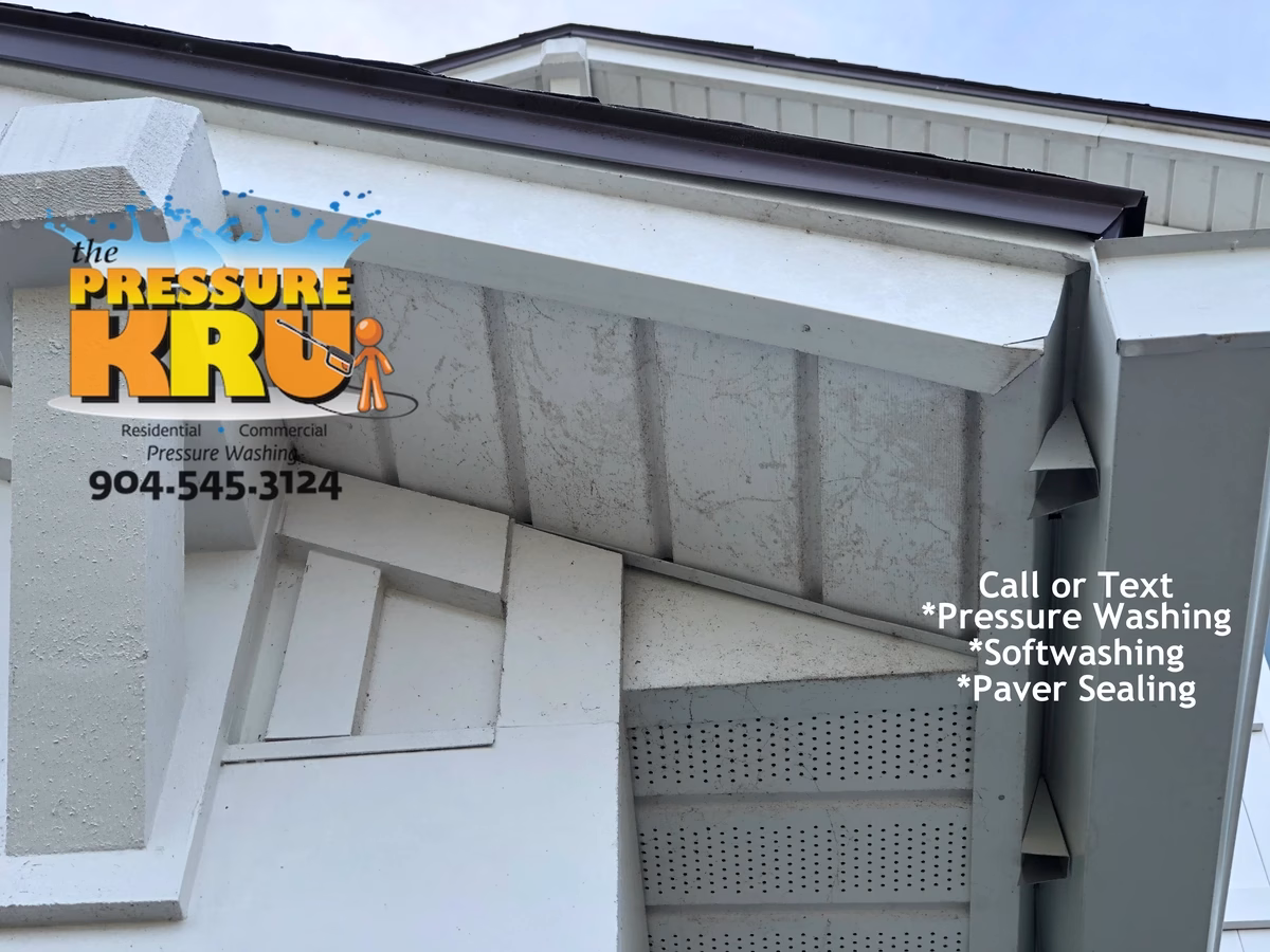 Soft washing home exterior in The Crossings at Bartram Park neighborhood safely removing mold.