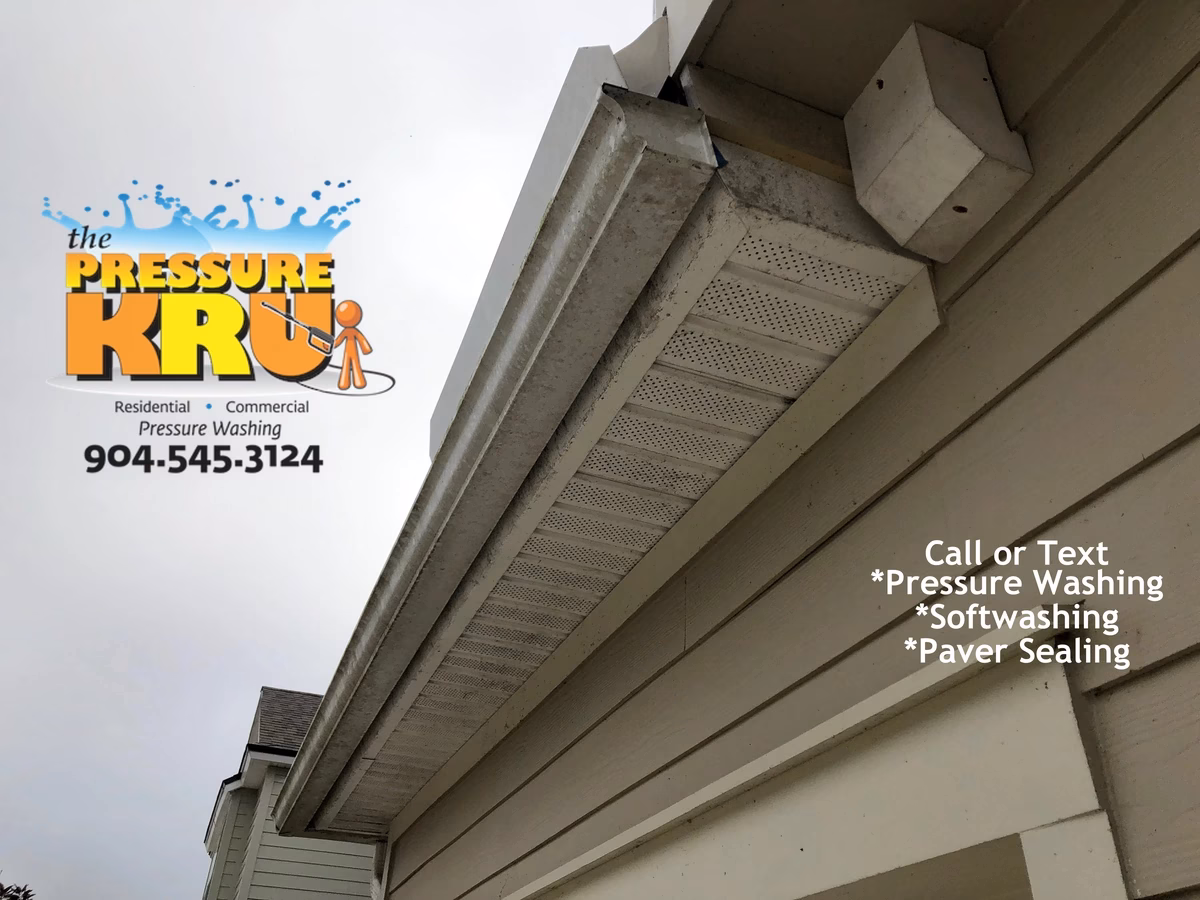 Before gentle pressure washing a cement siding home in 20 mile River Landing neighborhood