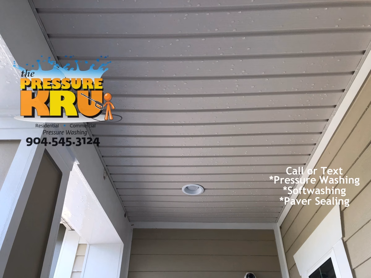 Before soft washing a house covered in bugs and algae in Beacon Lakes neighborhood.