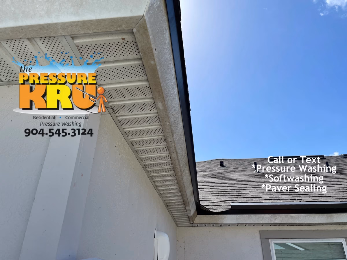 Soft washing removes algae from siding in Bartram Park Neighborhood.