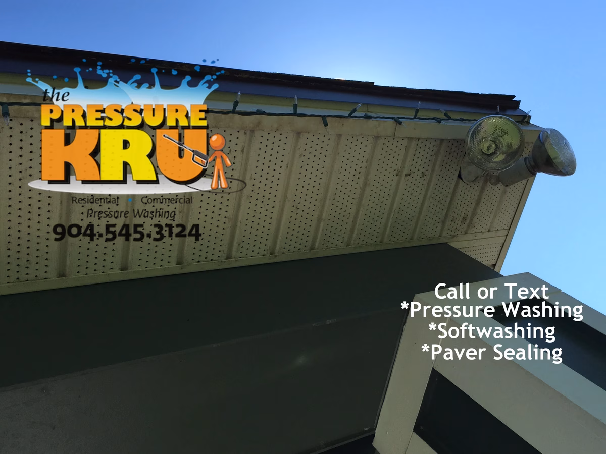 Professional House washing removes algae from siding in Bartram Park Neighborhood.