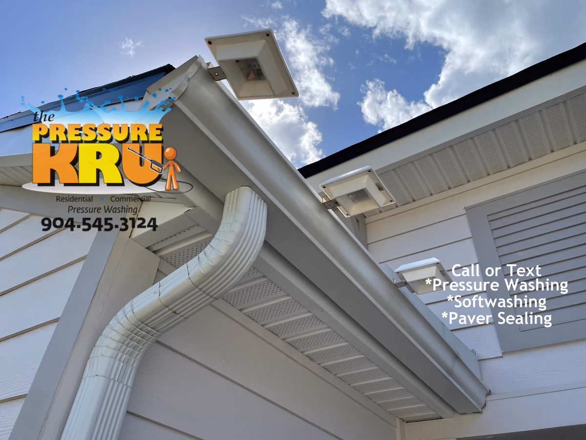 Professional House washing removes algae from siding in Beacon Lakes Neighborhood.