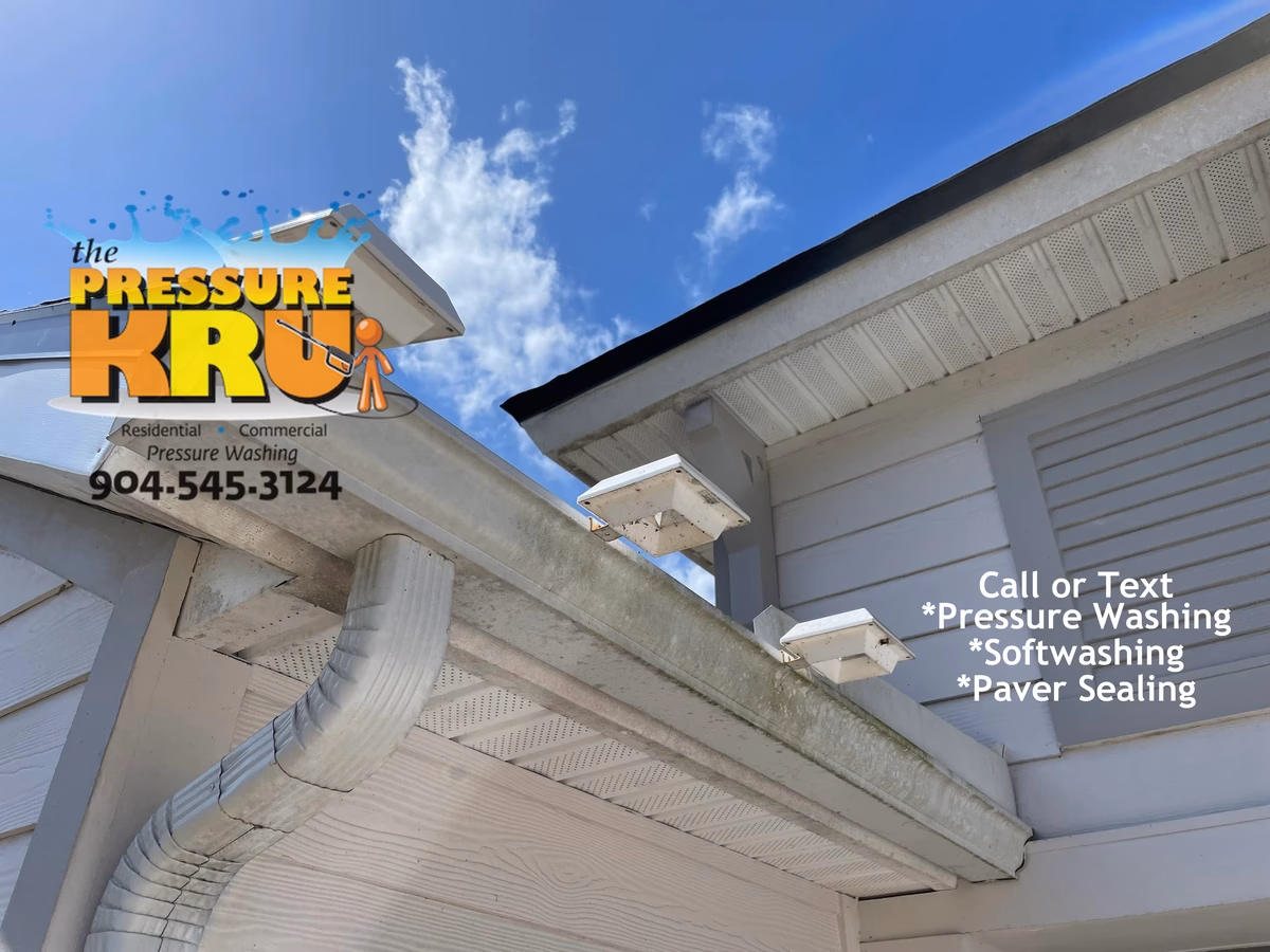 Professional House washing removes algae from siding in Beacon Lakes Neighborhood.