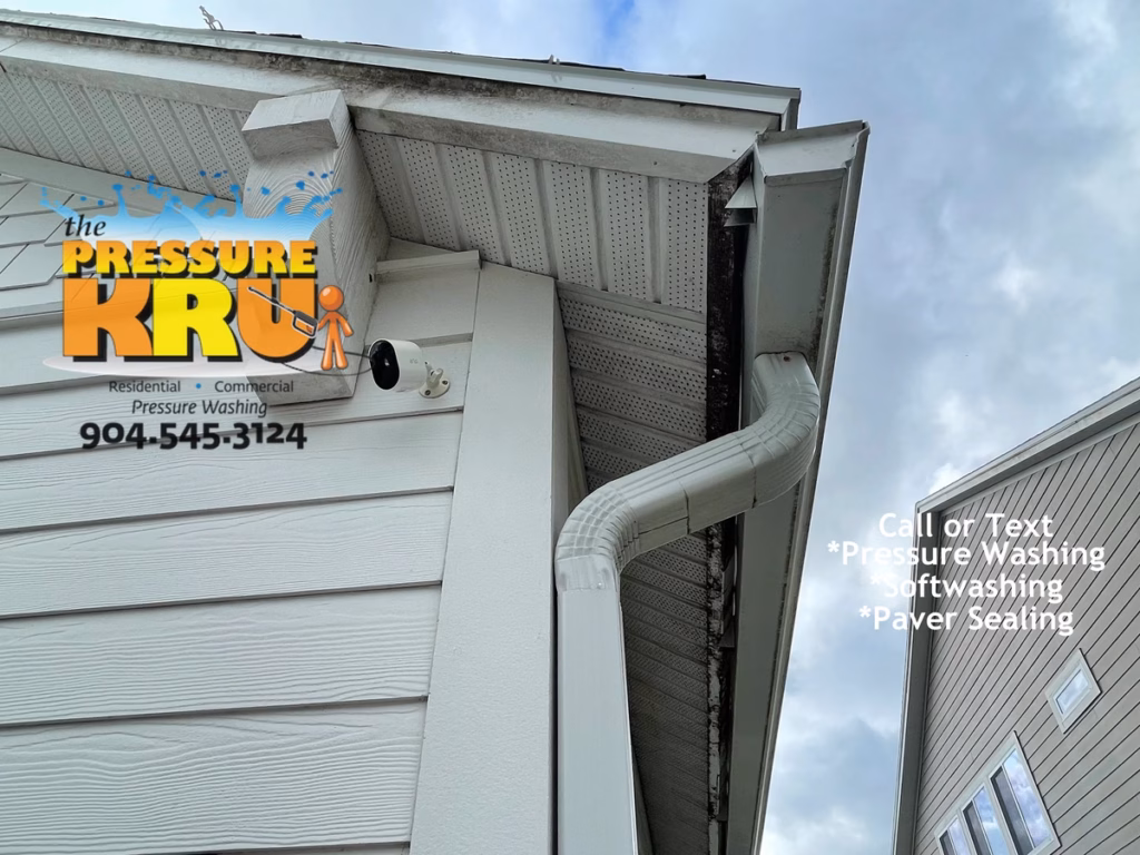 Professional Hardie Board House washing removes algae from siding in Rivertown Neighborhood.