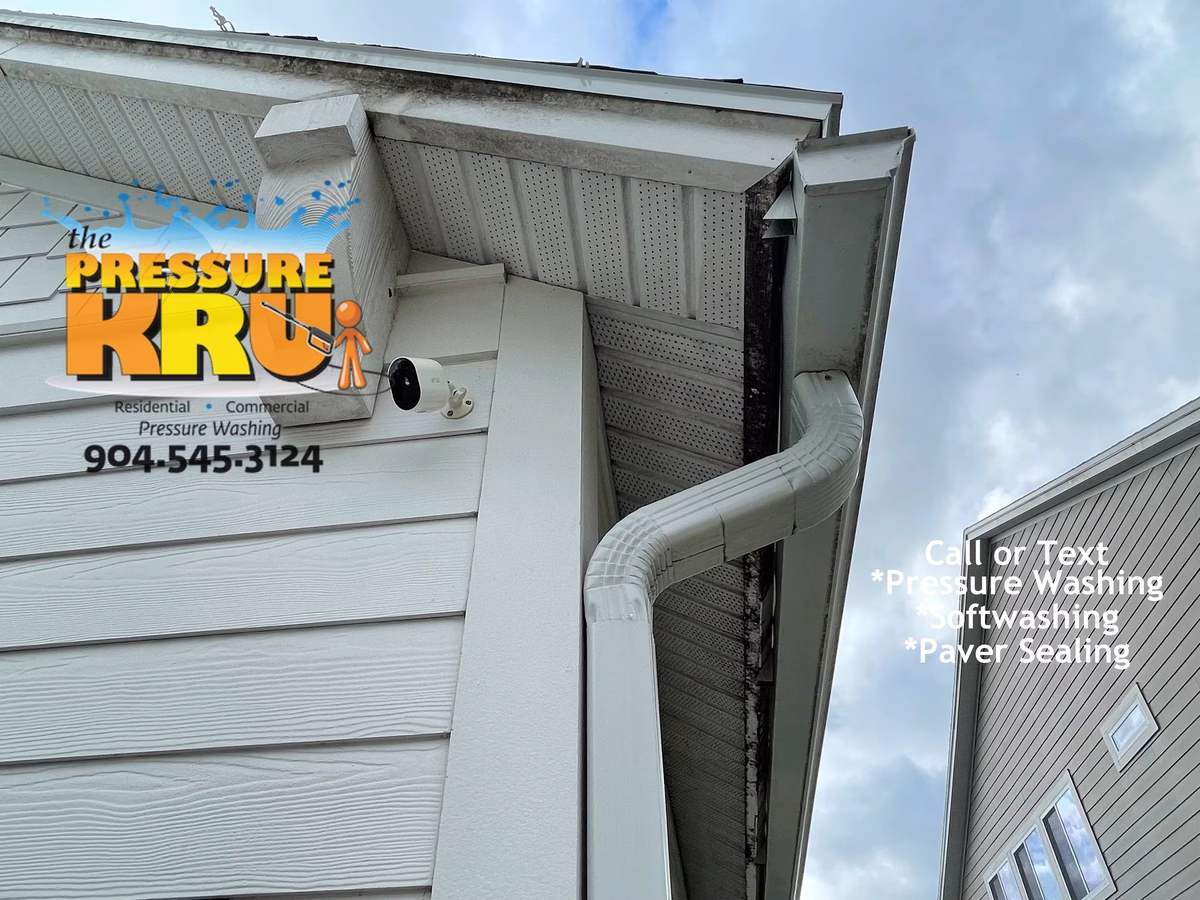 Professional House washing removes algae from siding in Rivertown Neighborhood.
