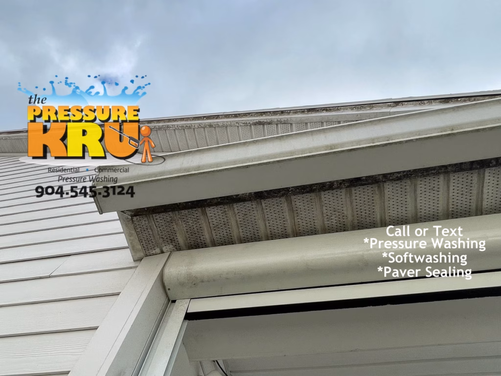 Professional House washing removes algae from siding in Mandarin Neighborhood.