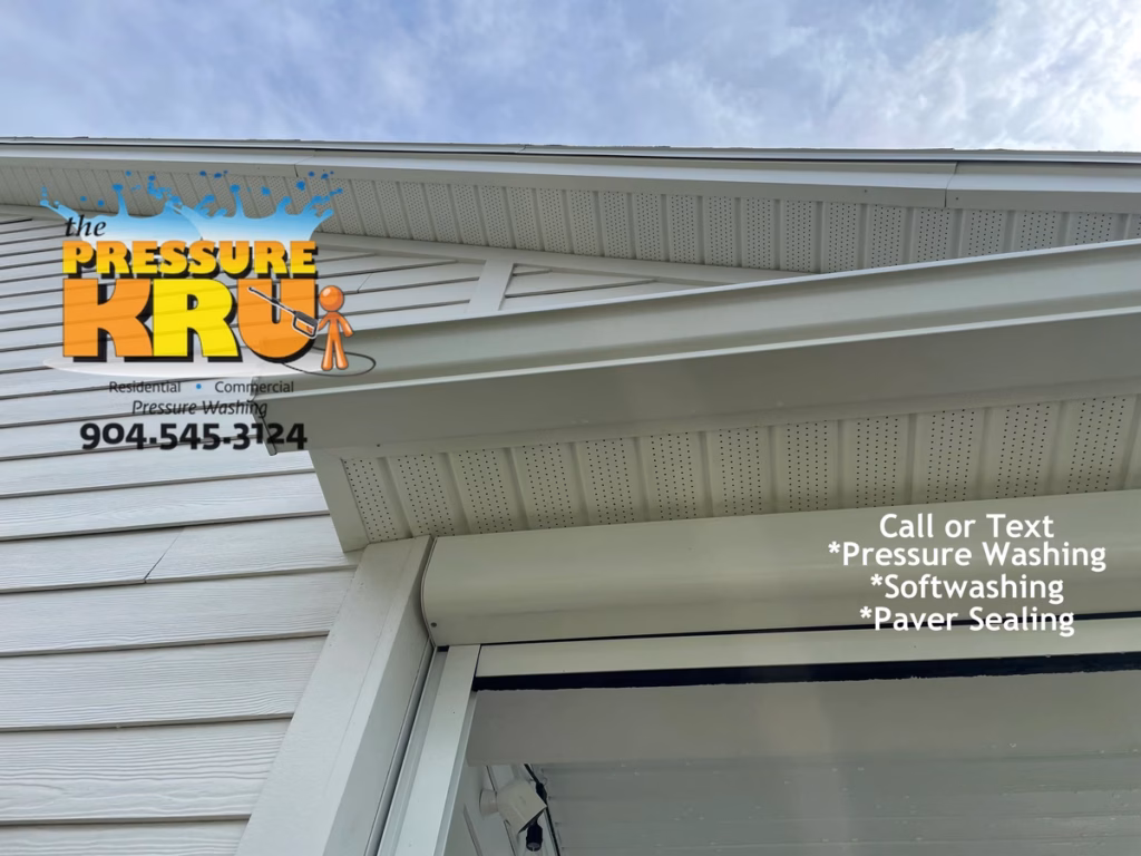 Professional House washing removes algae from siding in Mandarin Neighborhood.