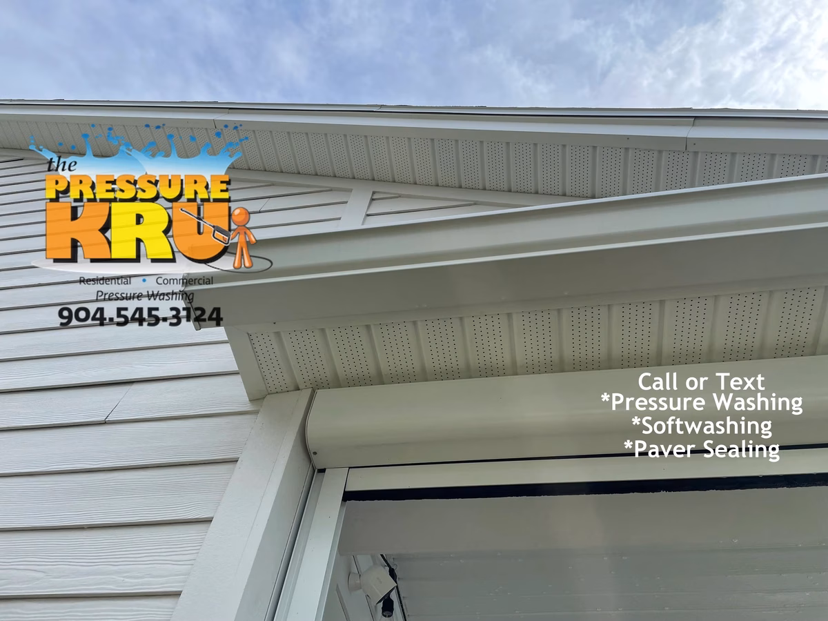 Professional House washing removes algae from siding in Mandarin Neighborhood.