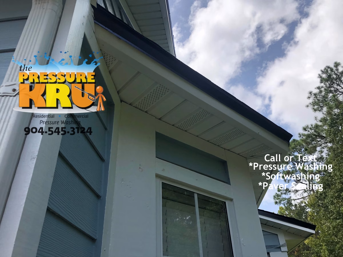 Professional House washing removes algae from siding in Nocatee Neighborhood.