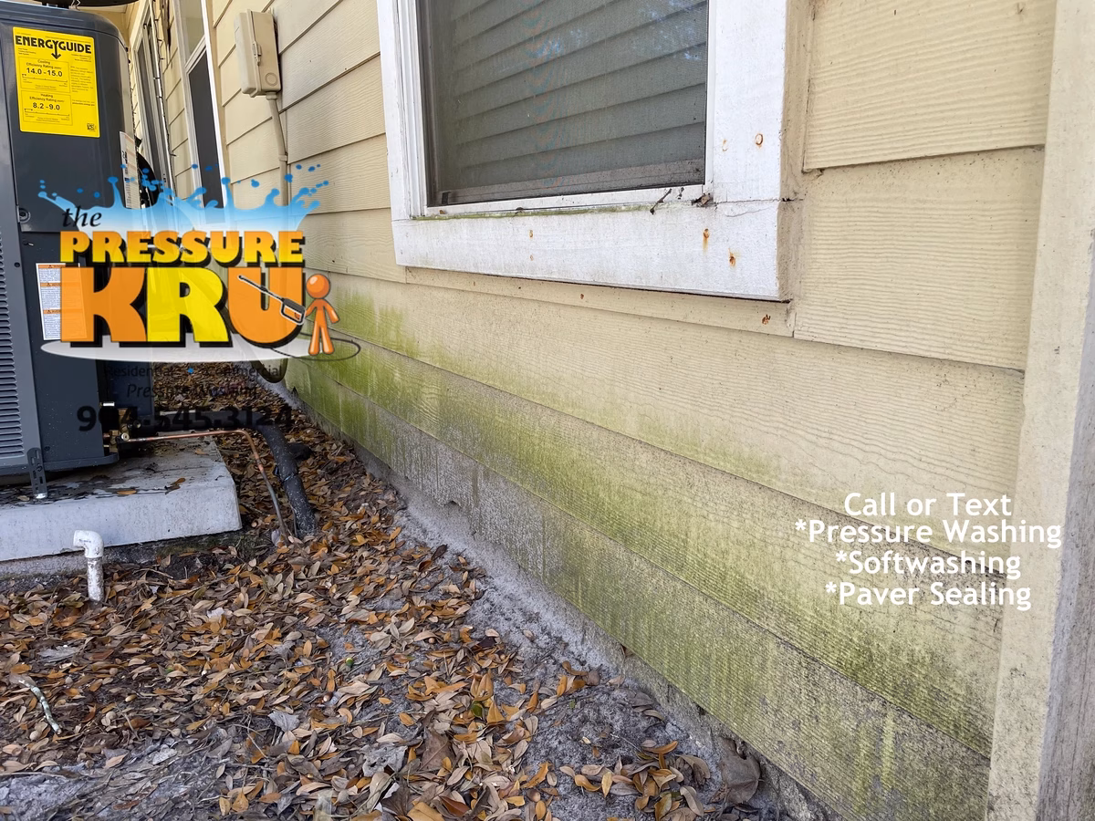 Professional house washing removes algae from siding and concrete in Nocatee neighborhood.