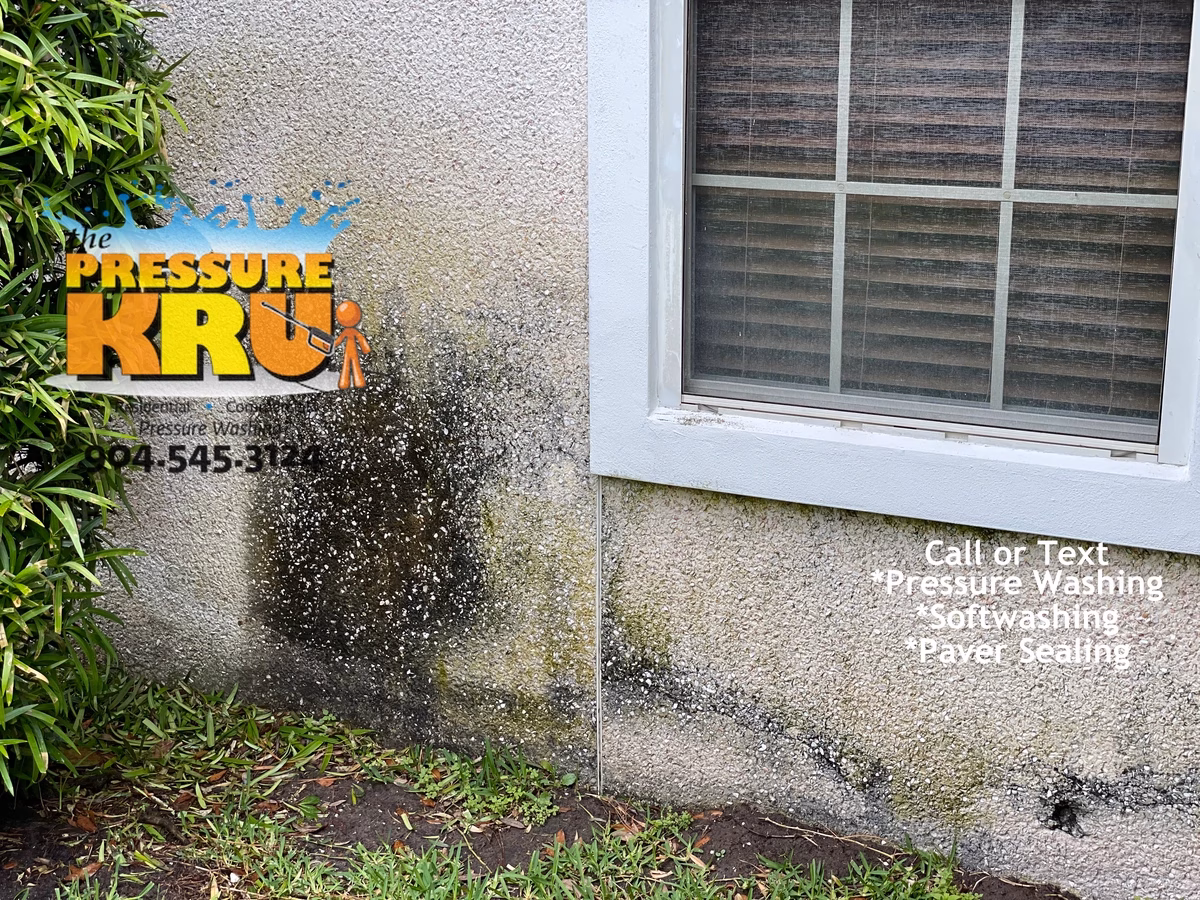 Professional coquina cleaning in Walden Chase neighborhood before removing years of grime and dirt.