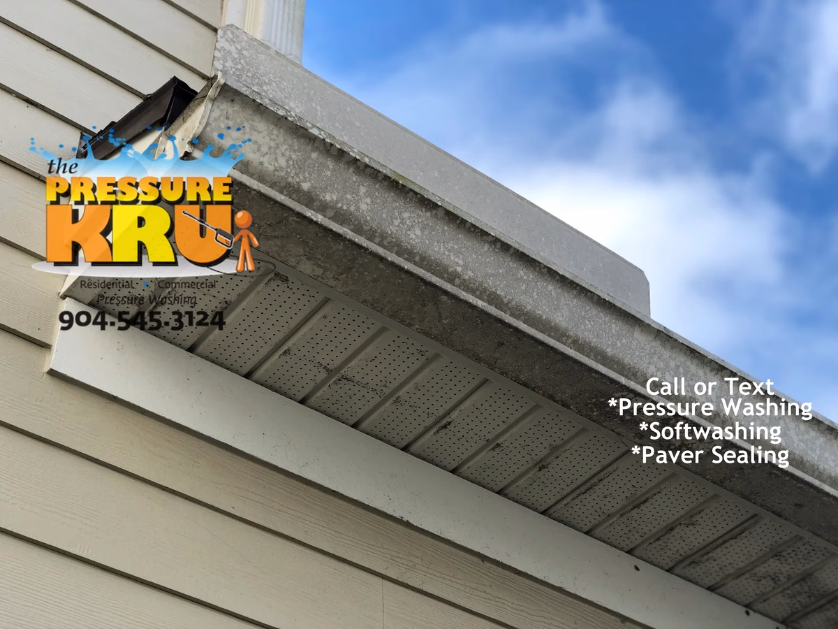 Soft washing home exterior in Durbin neighborhood removing algae.
