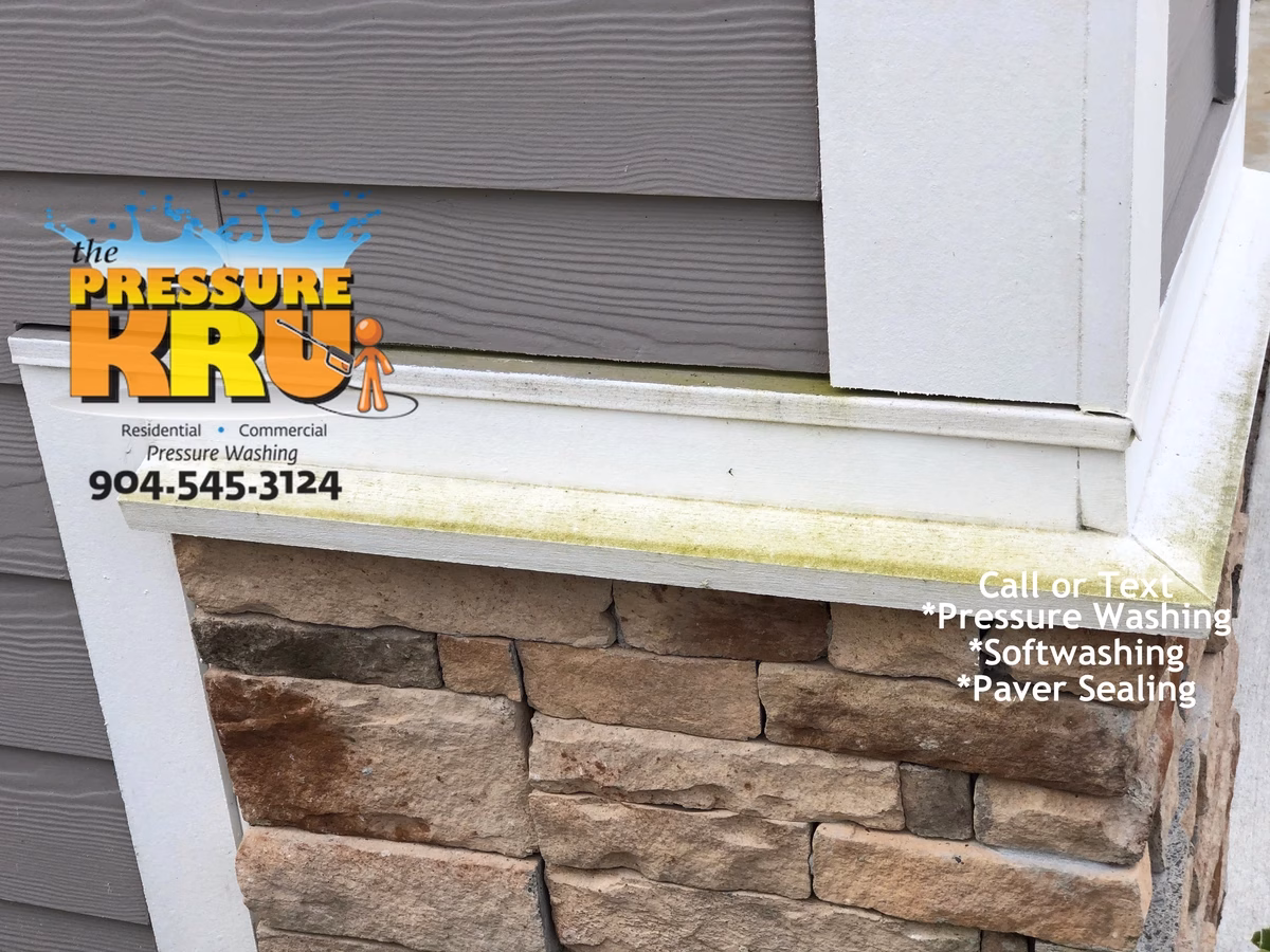 Safely removing green algae from home exterior in St. Johns Forest neighborhood community.