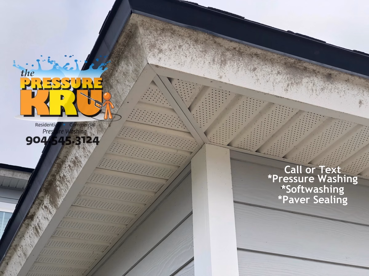 Vinyl Soffit and Cement Board siding exterior cleaning in Durbin Neighborhood.