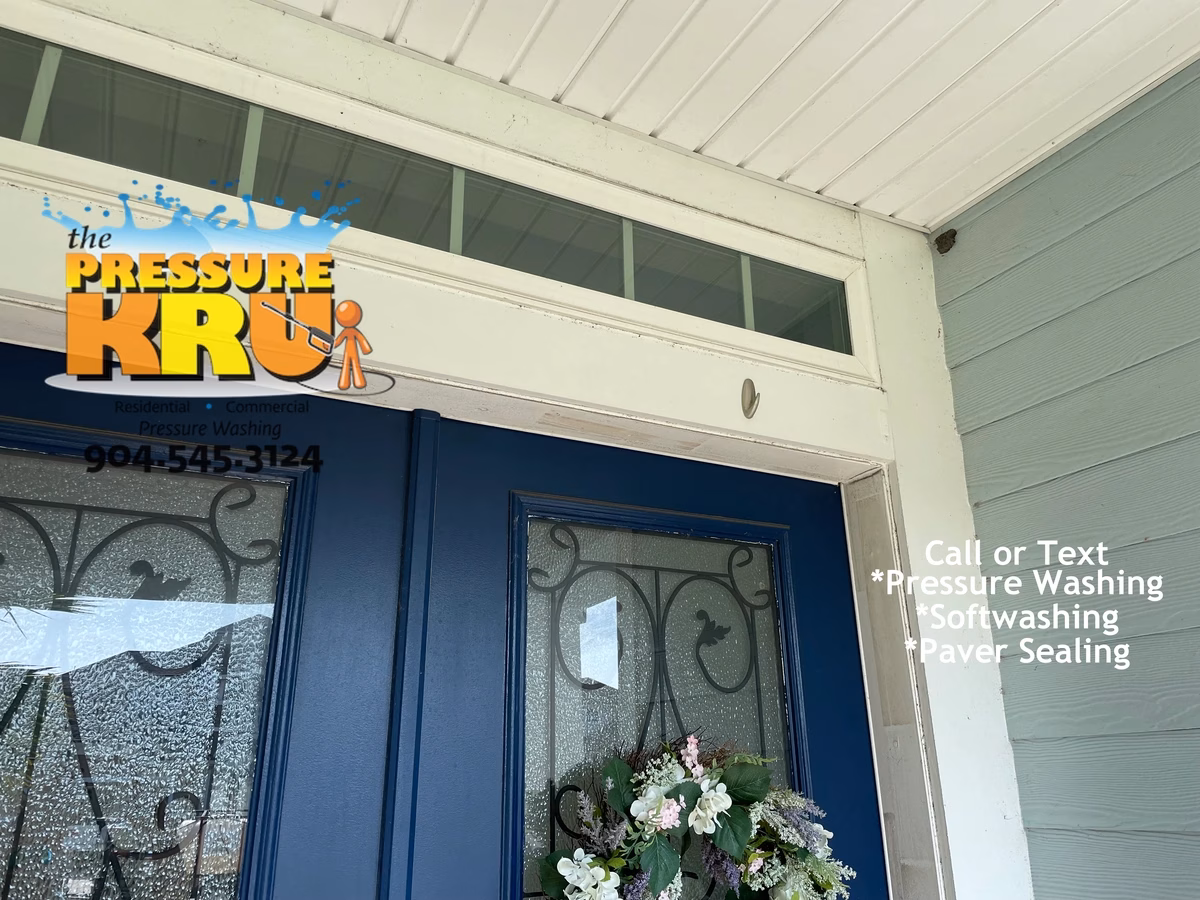 Safely removing bug nests and mold from home exterior in Durbin neighborhood.