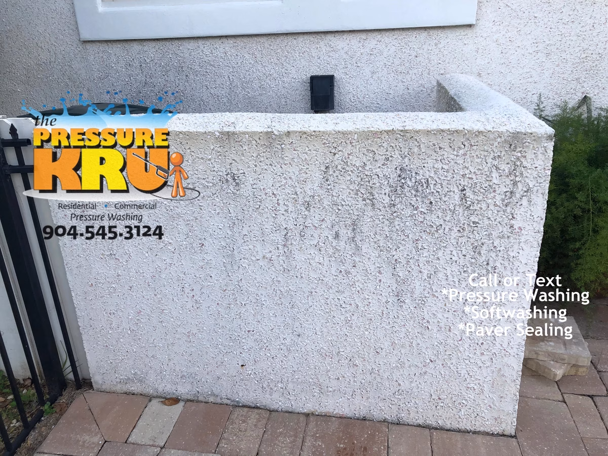 Coquina exterior cleaning in Julington Creek Plantation before professional soft washing.