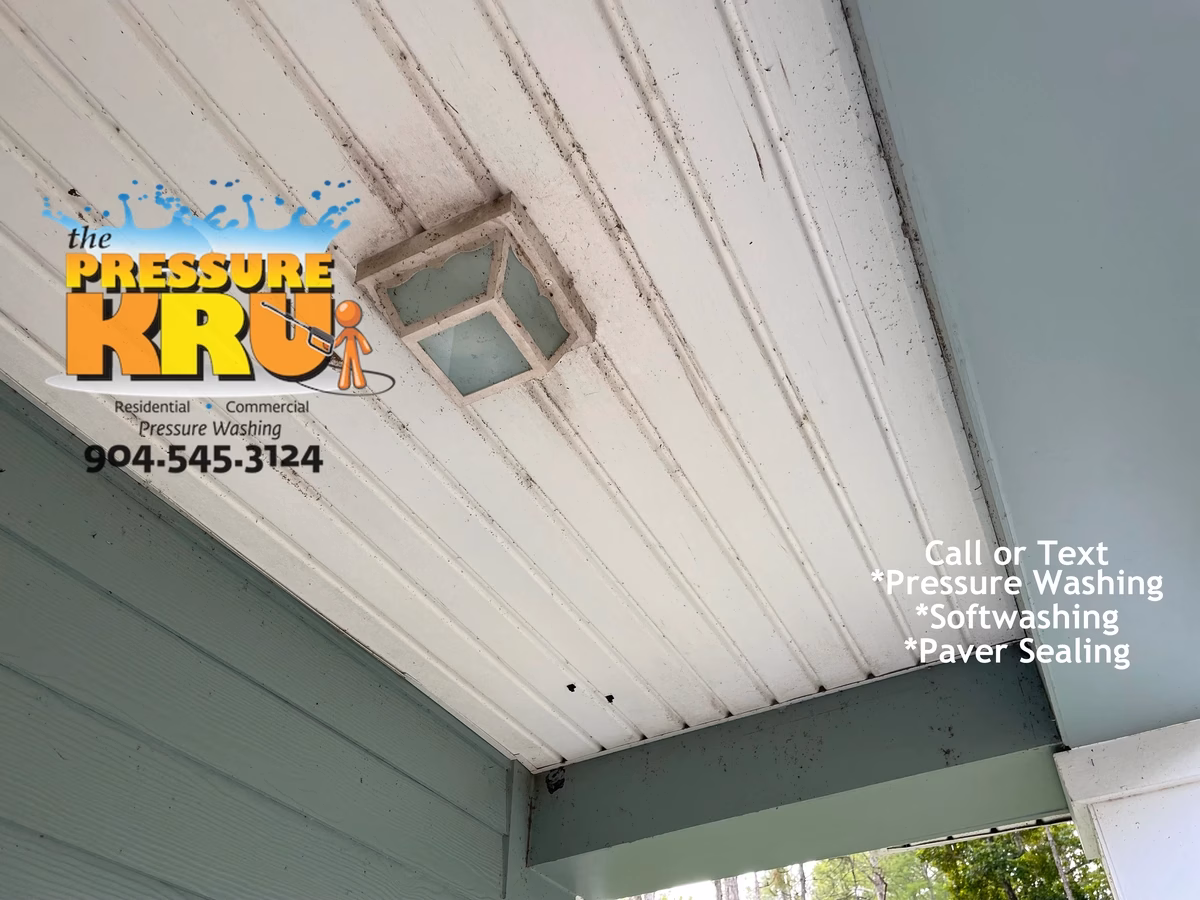 Before exterior house cleaning near Old St. Augustine Road.