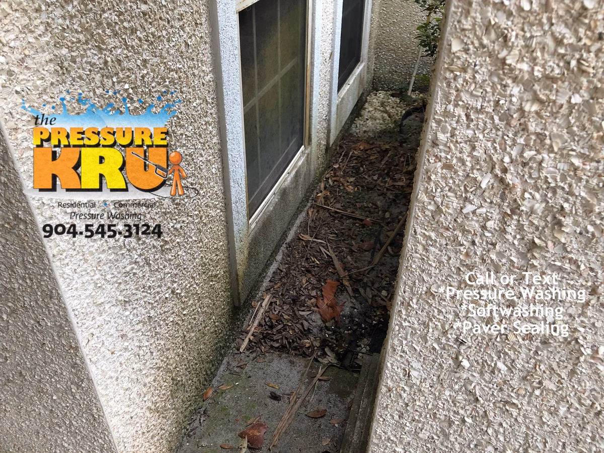 Professional coquina cleaning in Johns Creek protecting delicate exterior stone before picture.