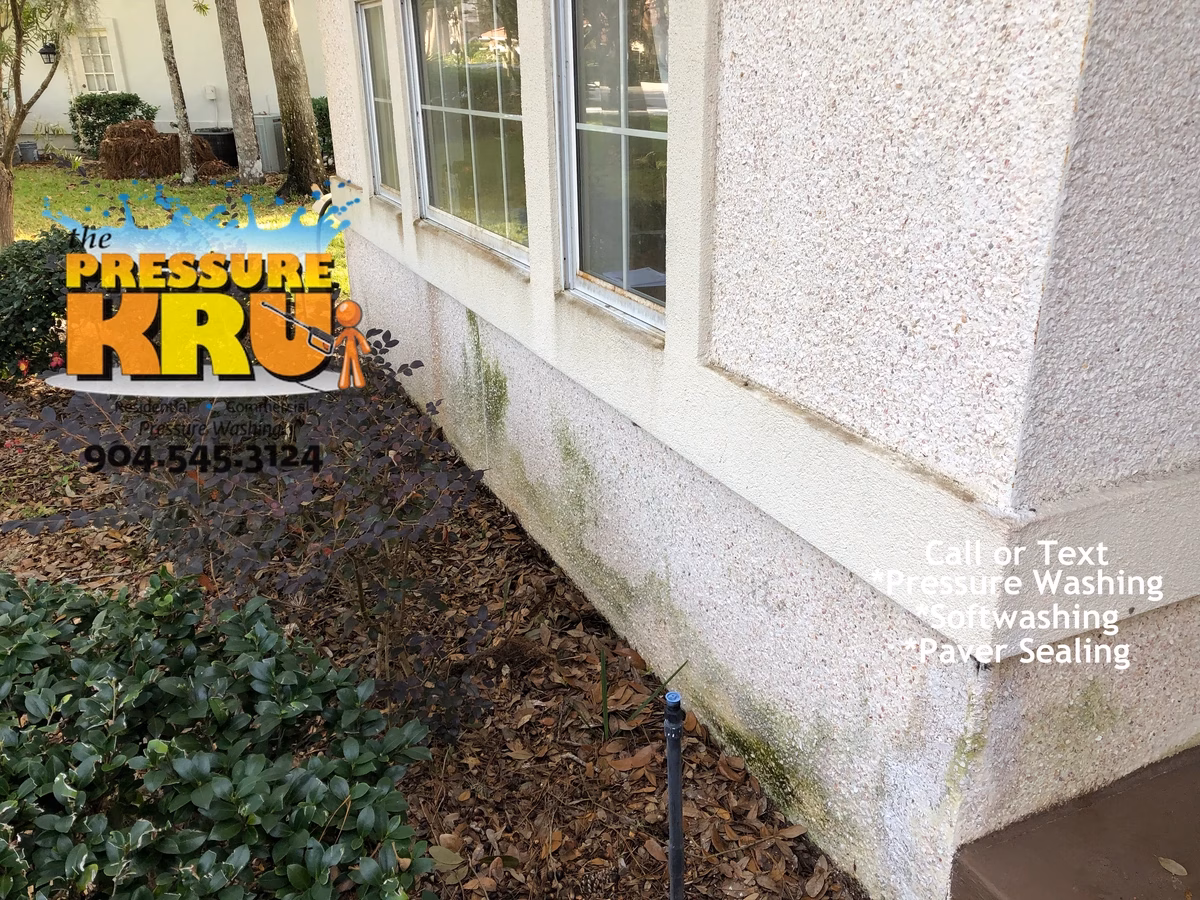 Professional coquina cleaning for a Majestic Oaks home before softwash solutions are applied.