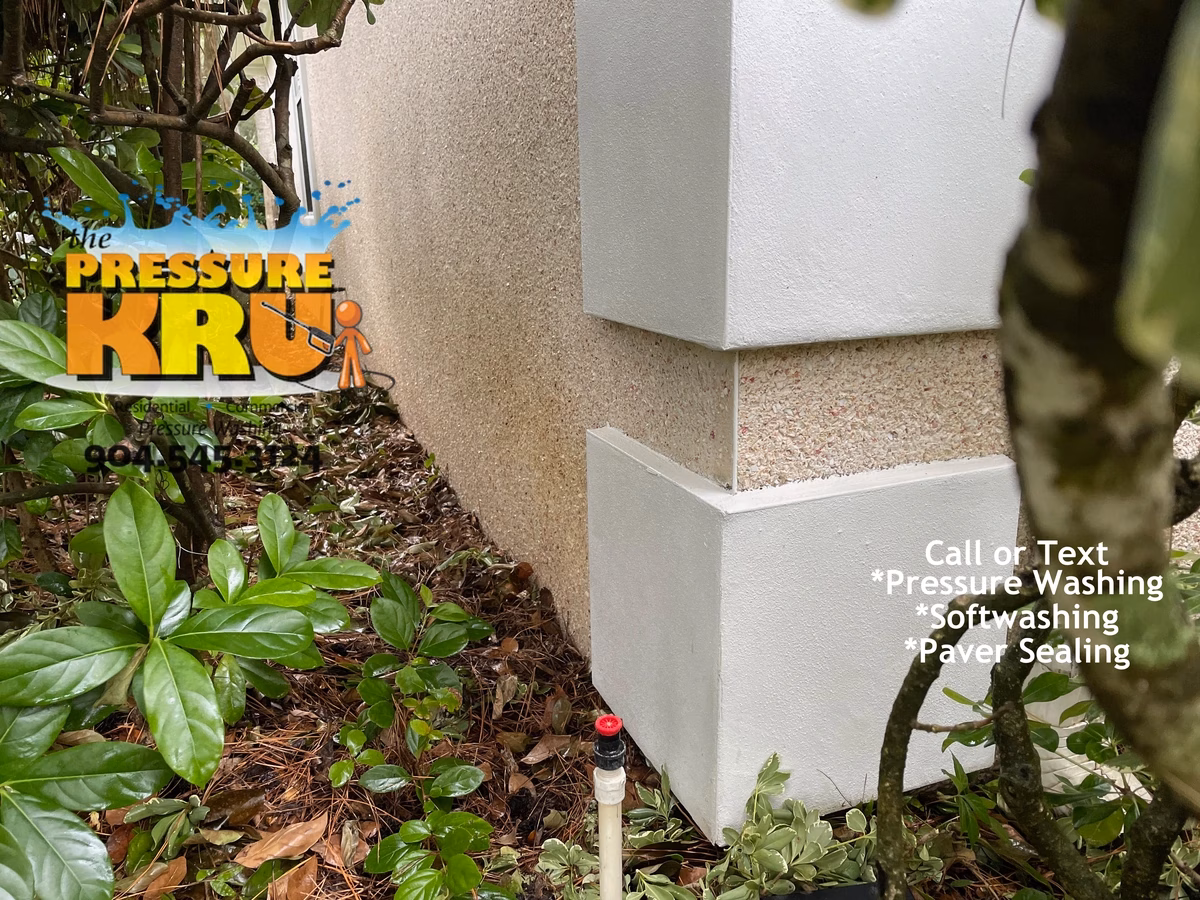 Residential coquina washing in Mandarin after restoring natural stone color.