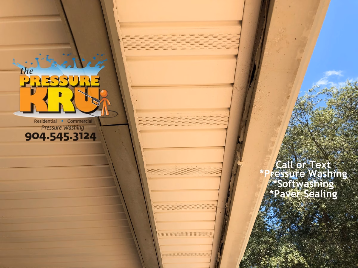 Home exterior soft washing in Johns Creek neighborhood removing mold and algae.