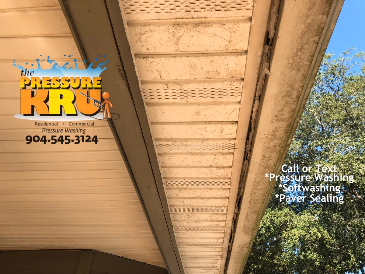 Home exterior soft washing in Johns Creek neighborhood removing mold and algae.