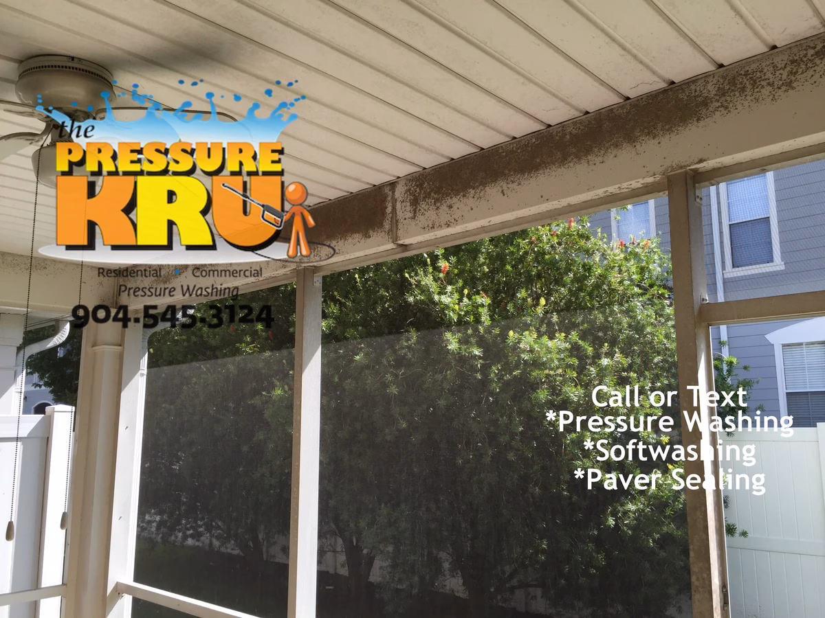 Rear patio exterior cleaning in Ironwood village neighborhood.