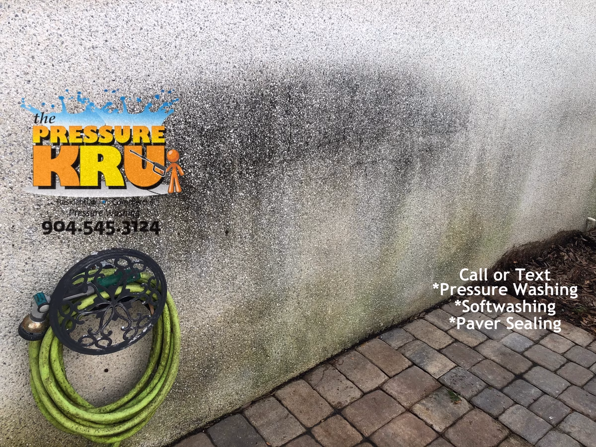 Residential Coquina washing in Deercreek neighborhood before cleaning.