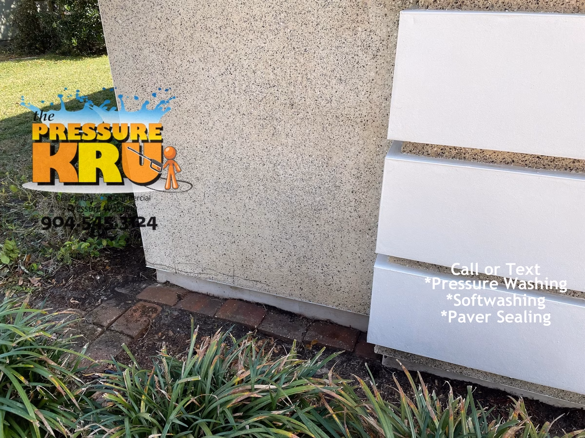 Coquina exterior cleaning service in Mandarin after removing algae and black streaks