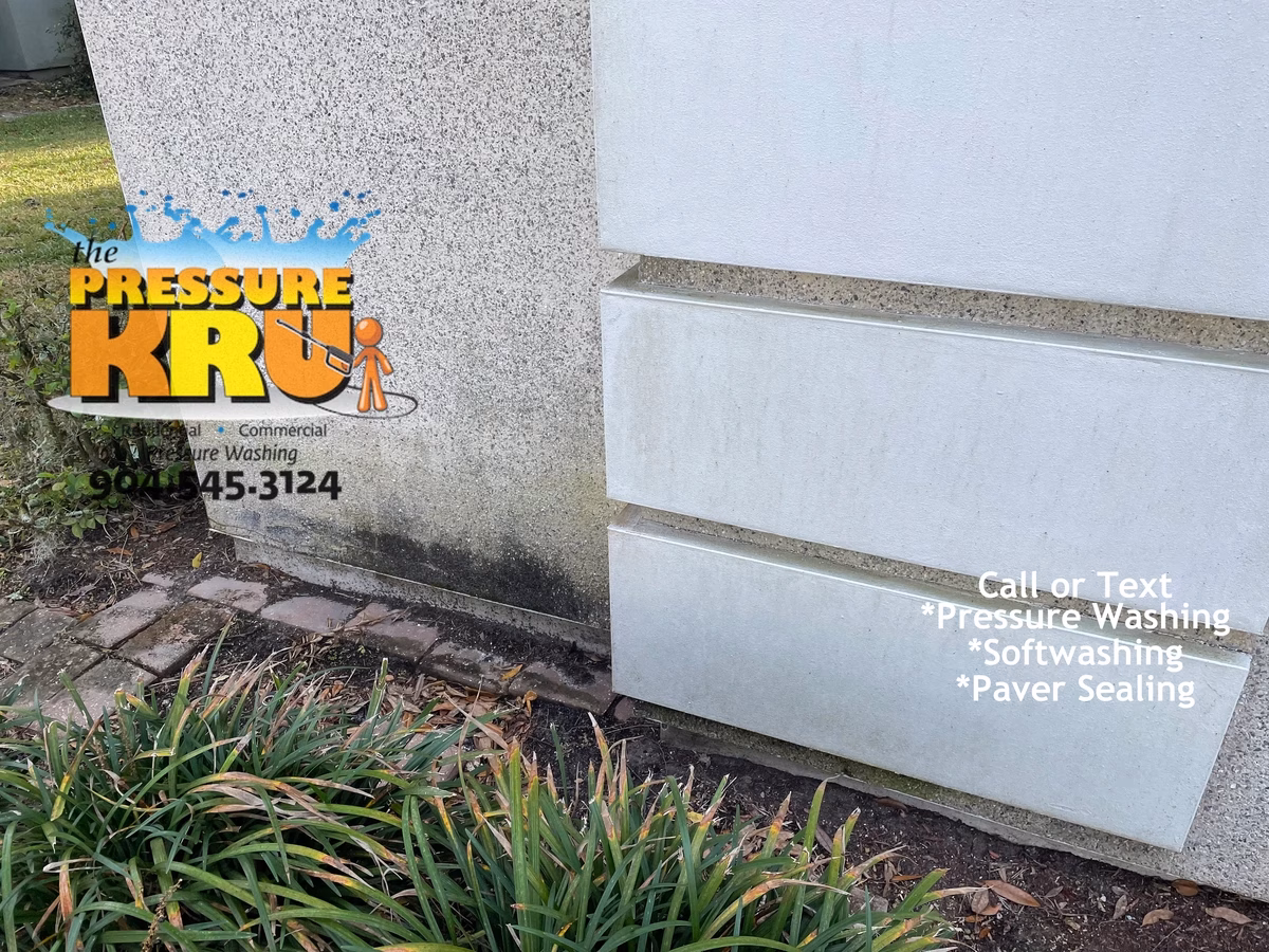 Coquina exterior cleaning service in Mandarin before removing algae and black streaks