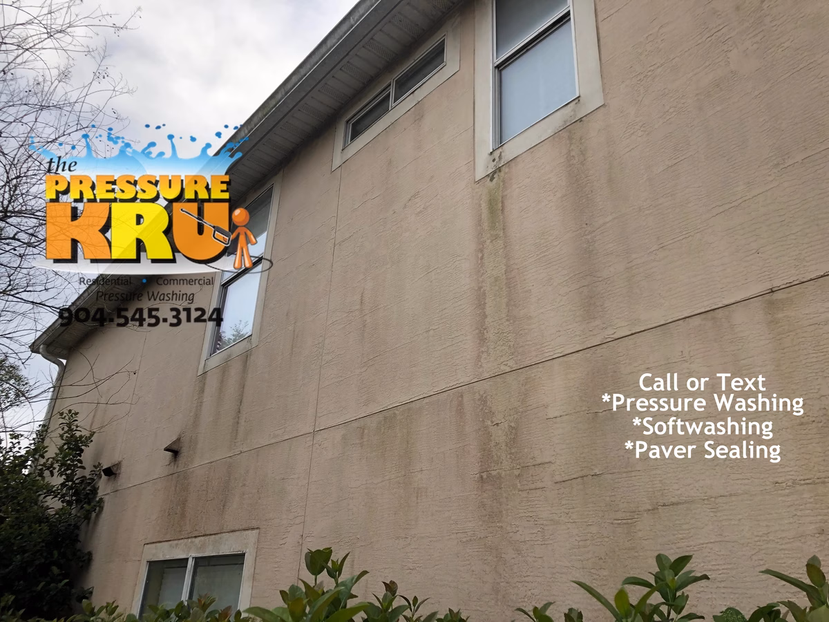 Before Mold and Algae removal from a stucco home in Stonehurst.