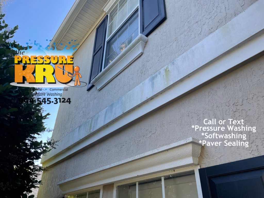 Residential exterior before soft washing service for Stucco home in Bartram Springs.