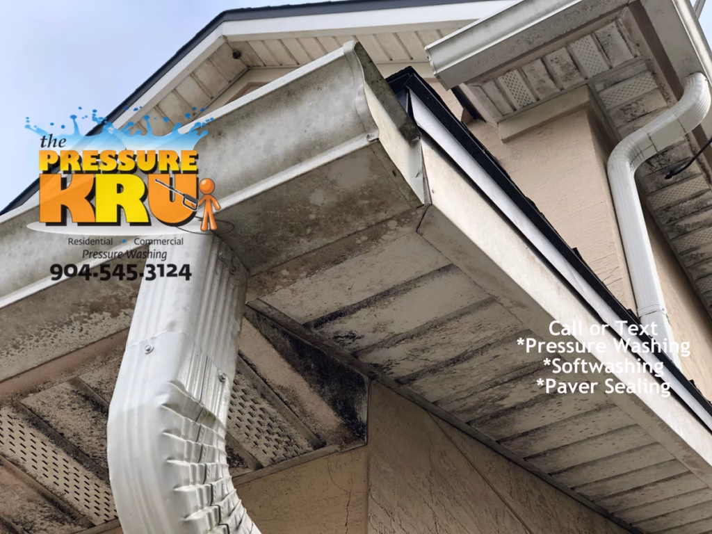 Removing black Streaks from a stucco home before soft washing in Durbin.