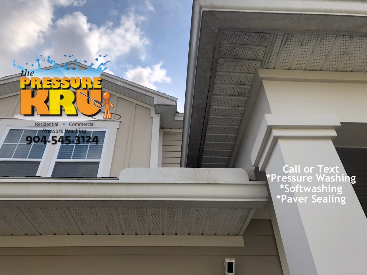 Before exterior cleaning home in The Palms at Nocatee showing mold and algae removal.