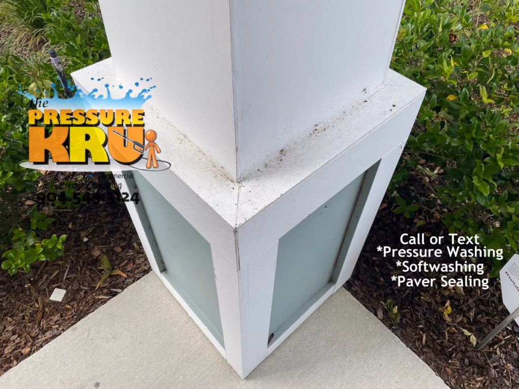 Before softwashing home in Bartram Creek neighborhood removing dirt and mold.